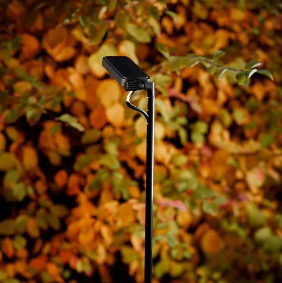 Luceplan LED-veilampe Flia, 3 lyskilder, svart, plast