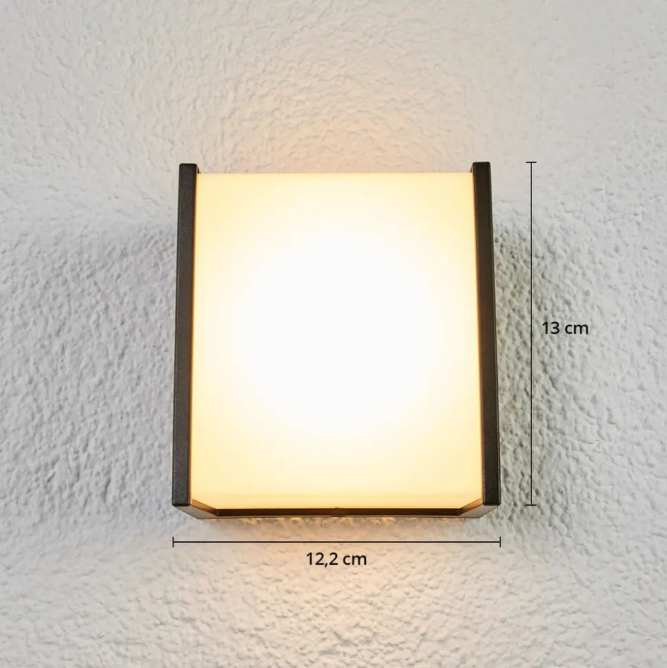 Macaw - LED-utevegglys