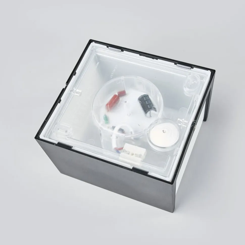 Macaw - LED-utevegglys