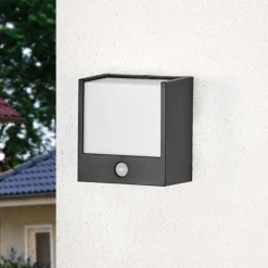 Macaw -LED-utevegglys med bevegelsessensor