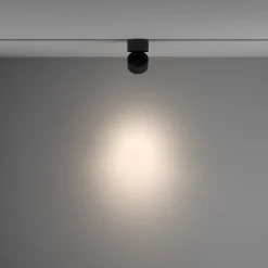 Maytoni Yin LED-spotlight Unity-system, triac, 940, svart