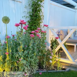 Müller Licht LED-spotlight utendørs, fargetone Flores, sett med 3 stk