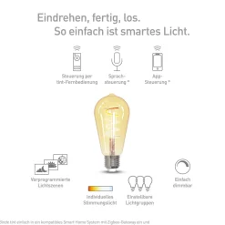 Müller Licht tint LED-pære retro gold E27 5,5W