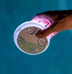 Newgarden Papaya LED-bassenglampe IP68 RGBW