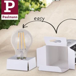 Paulmann LED-globe E27 G125 Inner Shape 4 W gull