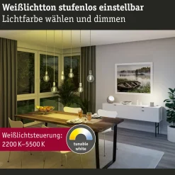 Paulmann LED-globe G95 ZigBee E27 7,5W gull CCT