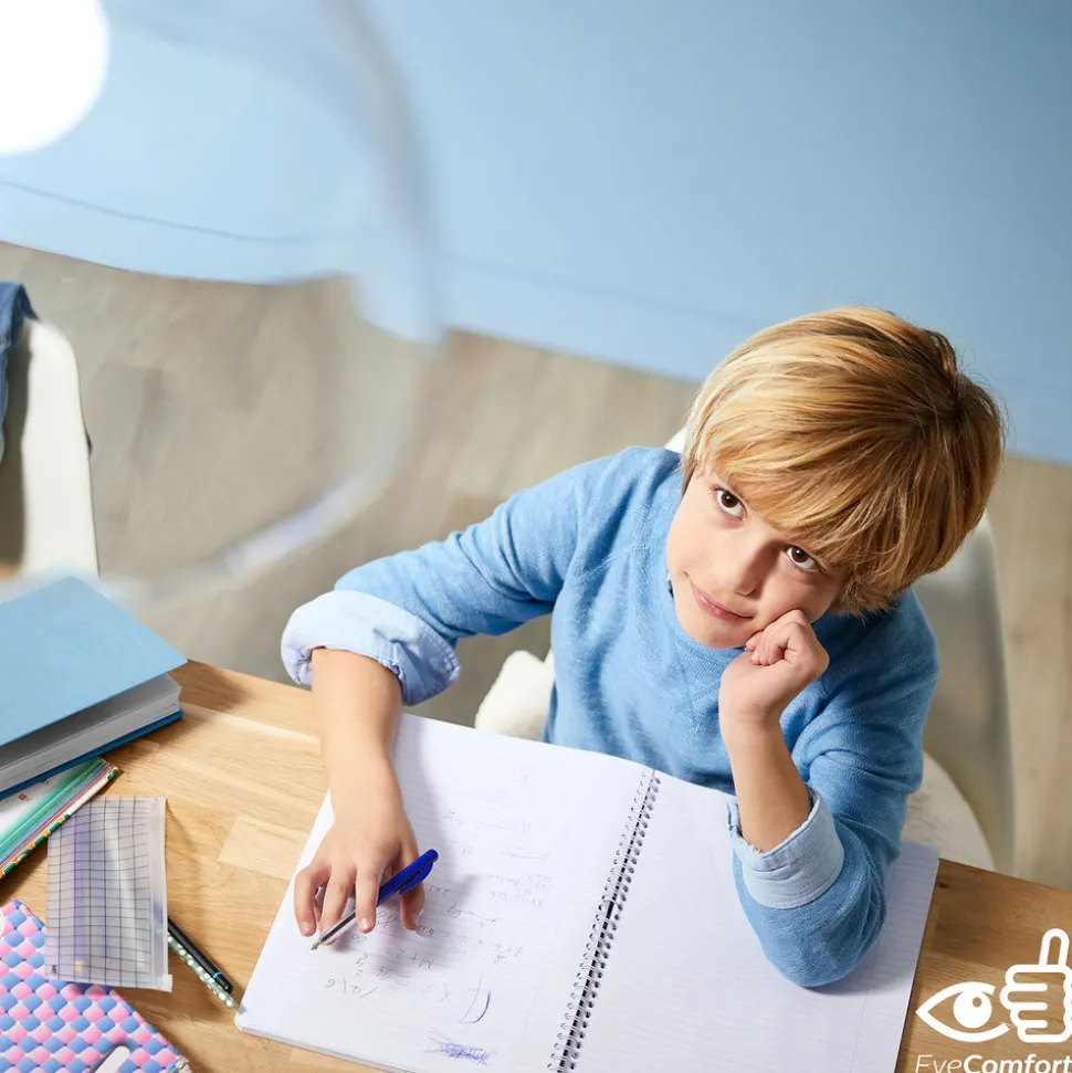 Philips Giant Globe røykfylt LED-pære E27 6,5W