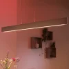 Philips Hue Ensis LED-hengelampe, RGBW