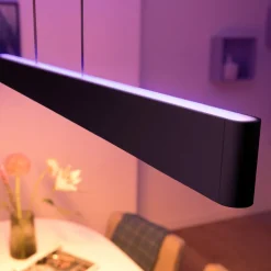 Philips Hue Ensis pendellampe, WACA, svart