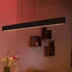Philips Hue Ensis pendellampe, WACA, svart