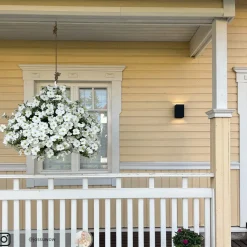 Philips Hue Resonate WACA Up- & downlight svart