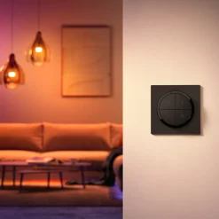 Philips Hue Tap Dial-bryter, svart