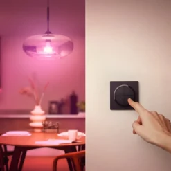 Philips Hue Tap Dial-bryter, svart