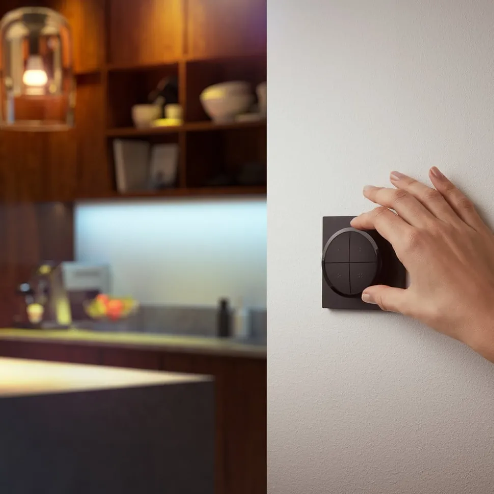 Philips Hue Tap Dial-bryter, svart
