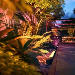 Philips Hue WACA Amarant gulvlist utendørs 24V