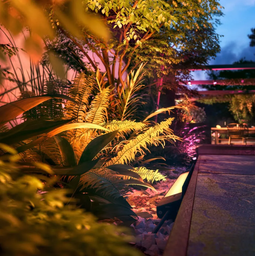 Philips Hue WACA Amarant gulvlist utendørs 24V