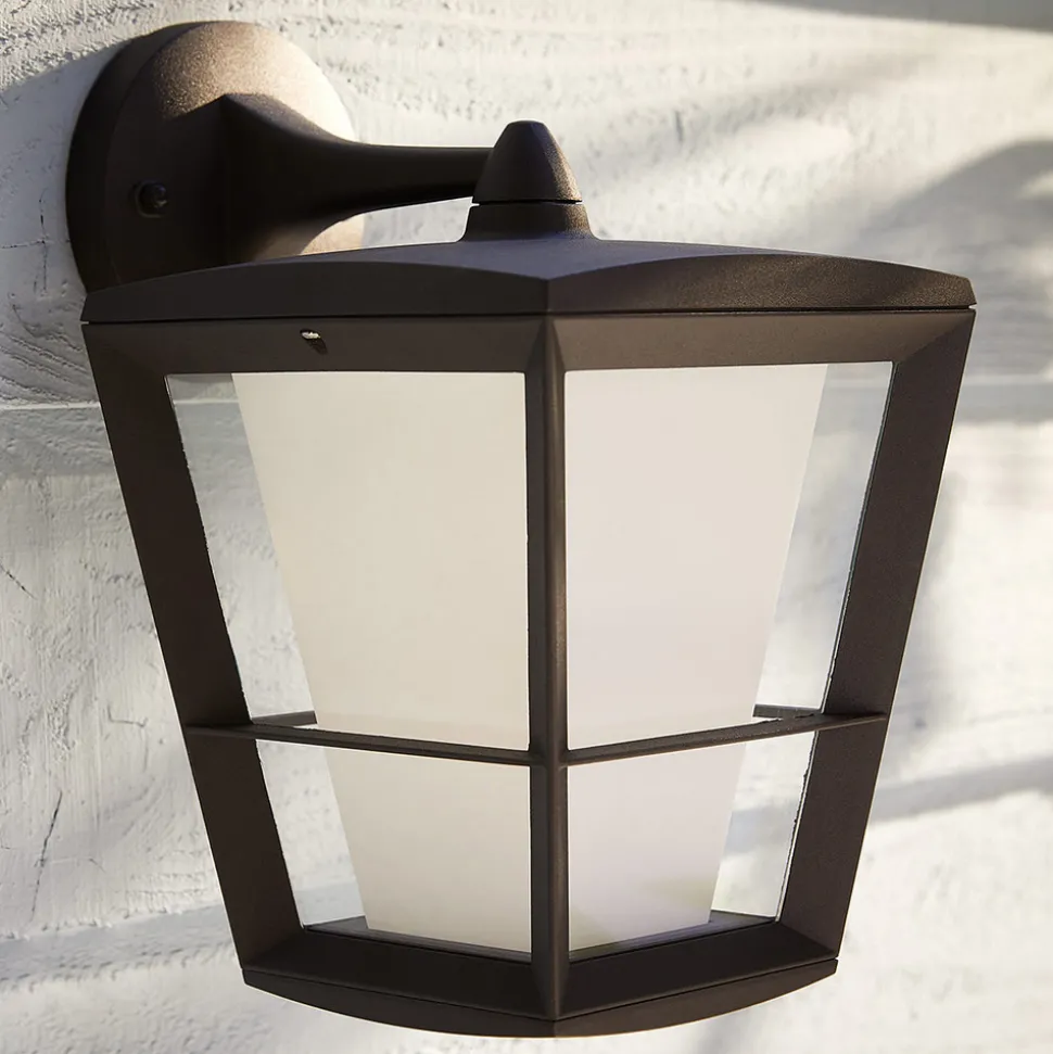 Philips Hue White+Color Econic vegglampe nede