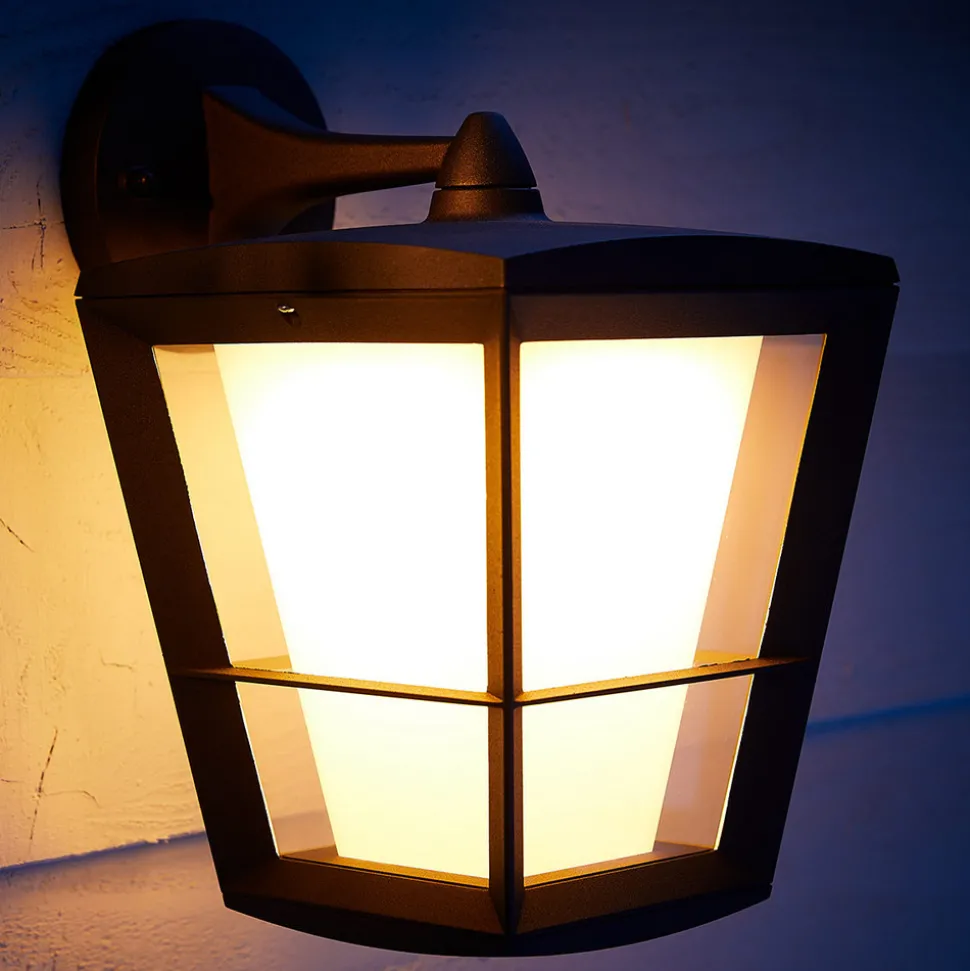 Philips Hue White+Color Econic vegglampe nede