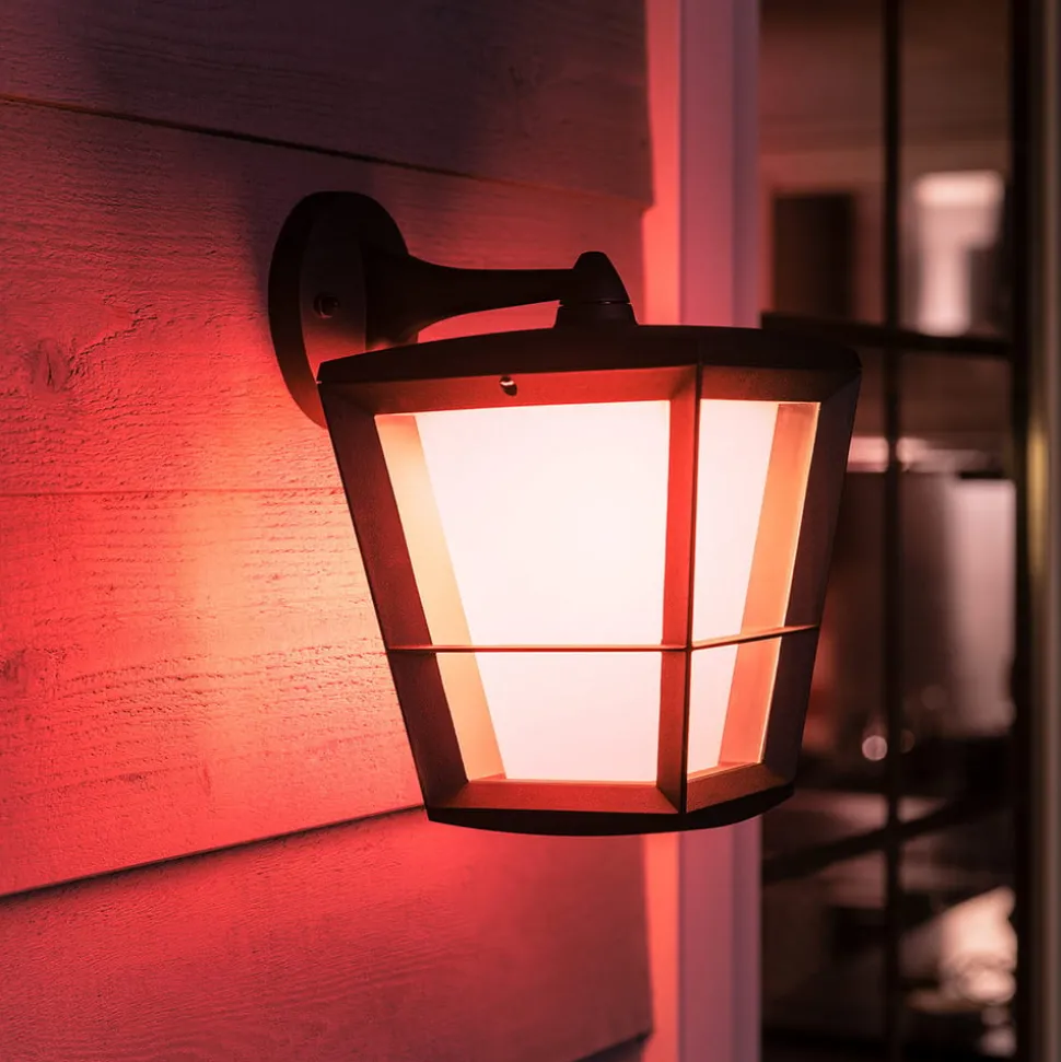 Philips Hue White+Color Econic vegglampe nede