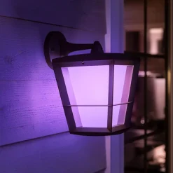 Philips Hue White+Color Econic vegglampe nede