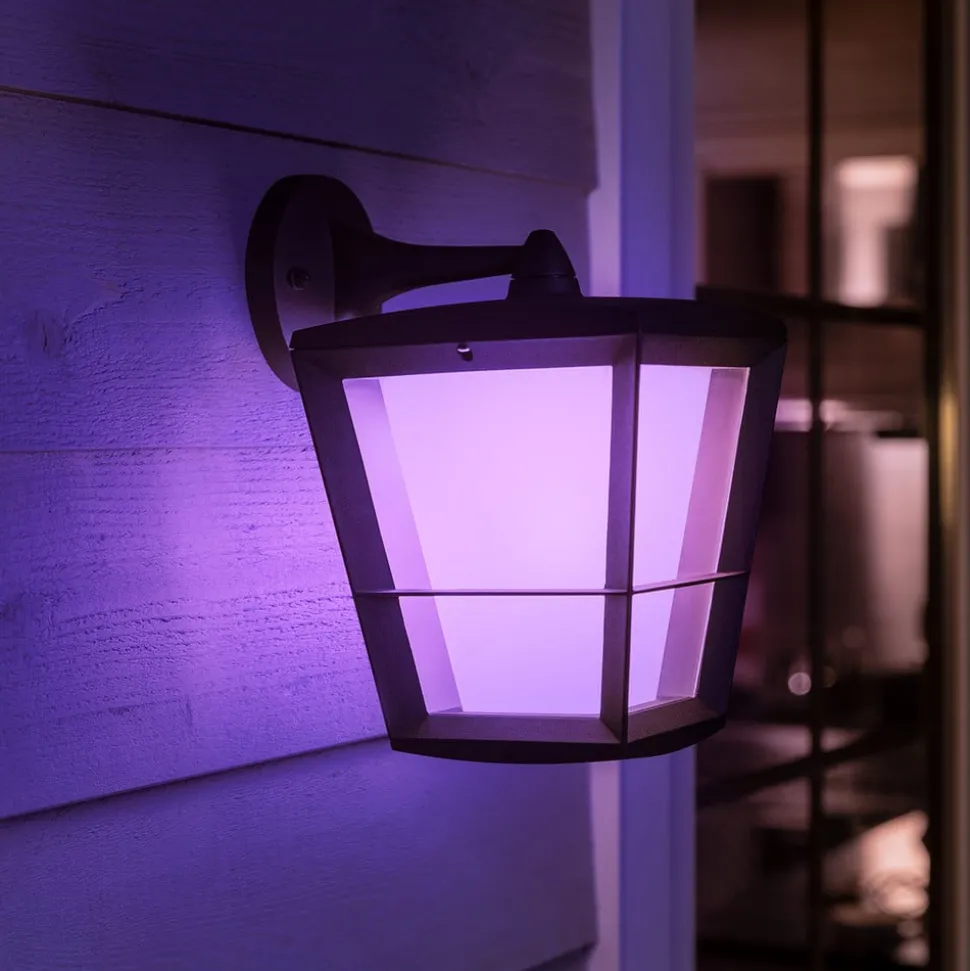 Philips Hue White+Color Econic vegglampe nede
