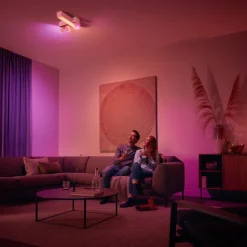Philips Hue Wireless dimmebryter V2 hvit