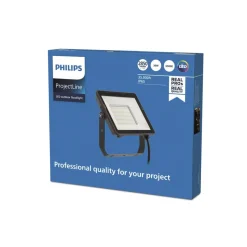 Philips ProjectLine utendørs LED-spot 6 500K 30W