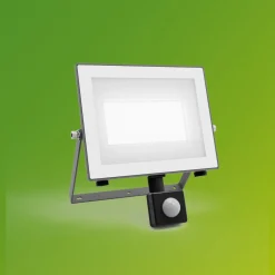 Philips utendørs LED-spot Lois UE Sensor, 24 W, 5000 K IP65