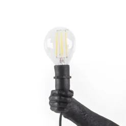 SELETTI LED-pære Monkey Lamp utendørs E14 2 W 24V/36V