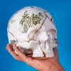 SELETTI Skulptur Kintsugi Skull, hvit, porselen, gull