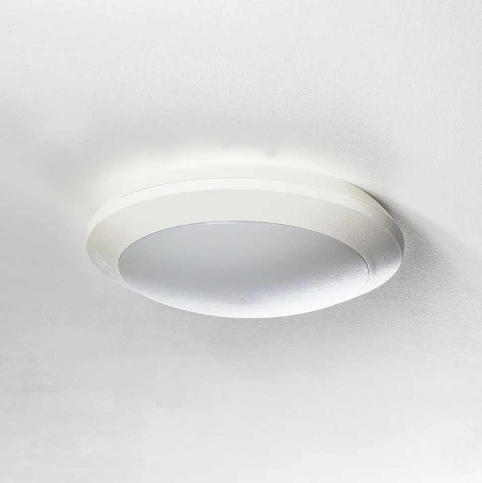 Sensor-LED-taklampe Umberta hvit, CCT