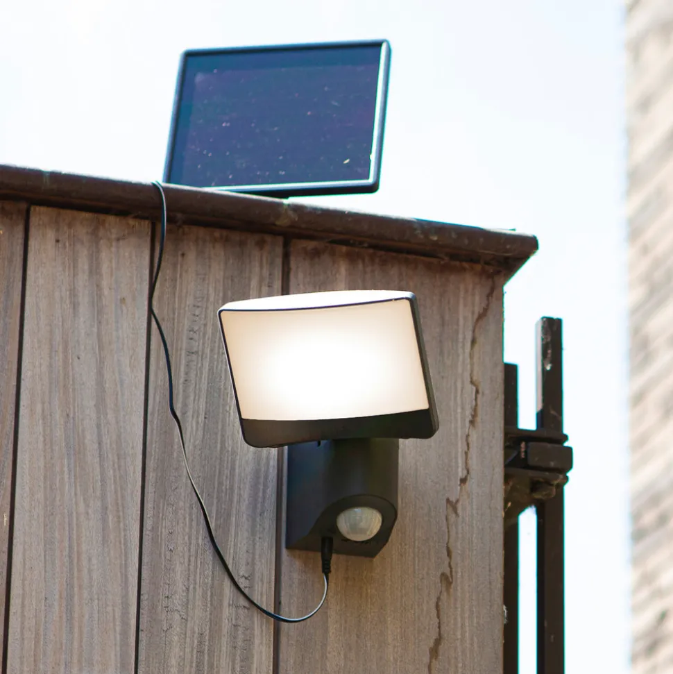 Solar spotlight Sunshine solcellepanel sensor 18cm 11W