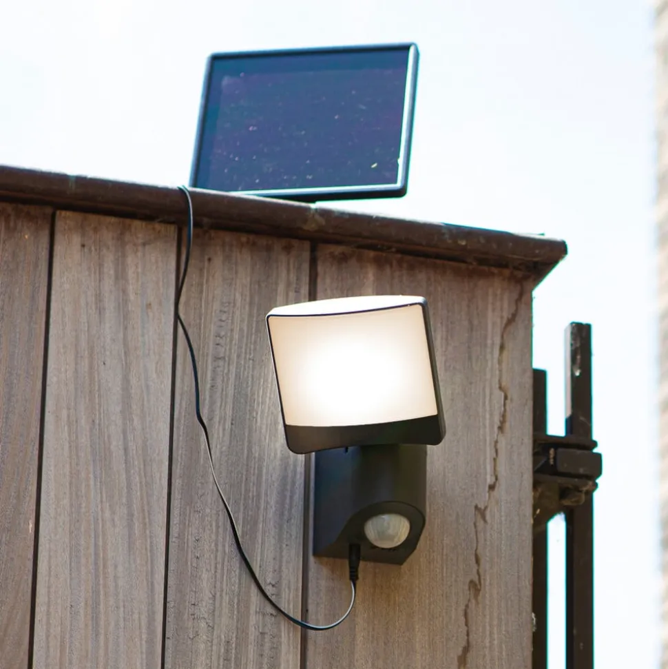 Solar spotlight Sunshine solcellepanel sensor 12cm 7W