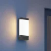 STEINEL L 271 DIGI C utendørs LED-vegglampe