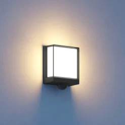 STEINEL L40 SC ute LED-vegglampe sensor antrasitt