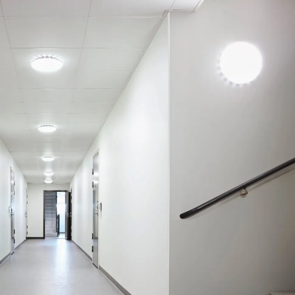 STEINEL RS Pro S20 SC LED-taklampe Sensor 3000K