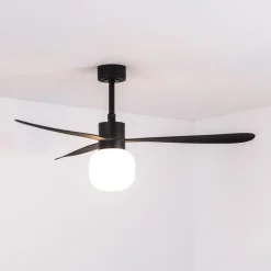 Takvifte Amelia Ball LED-lampe svart