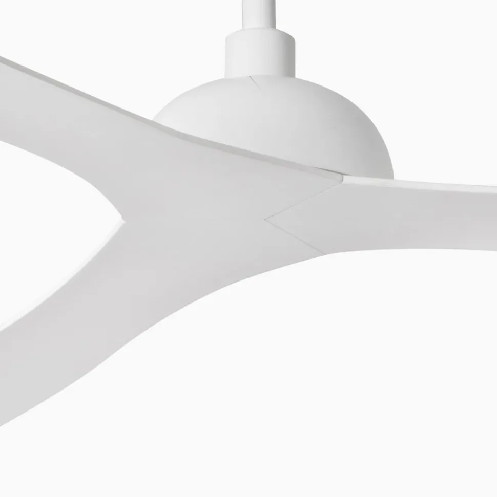 Takvifte Gotland, hvit