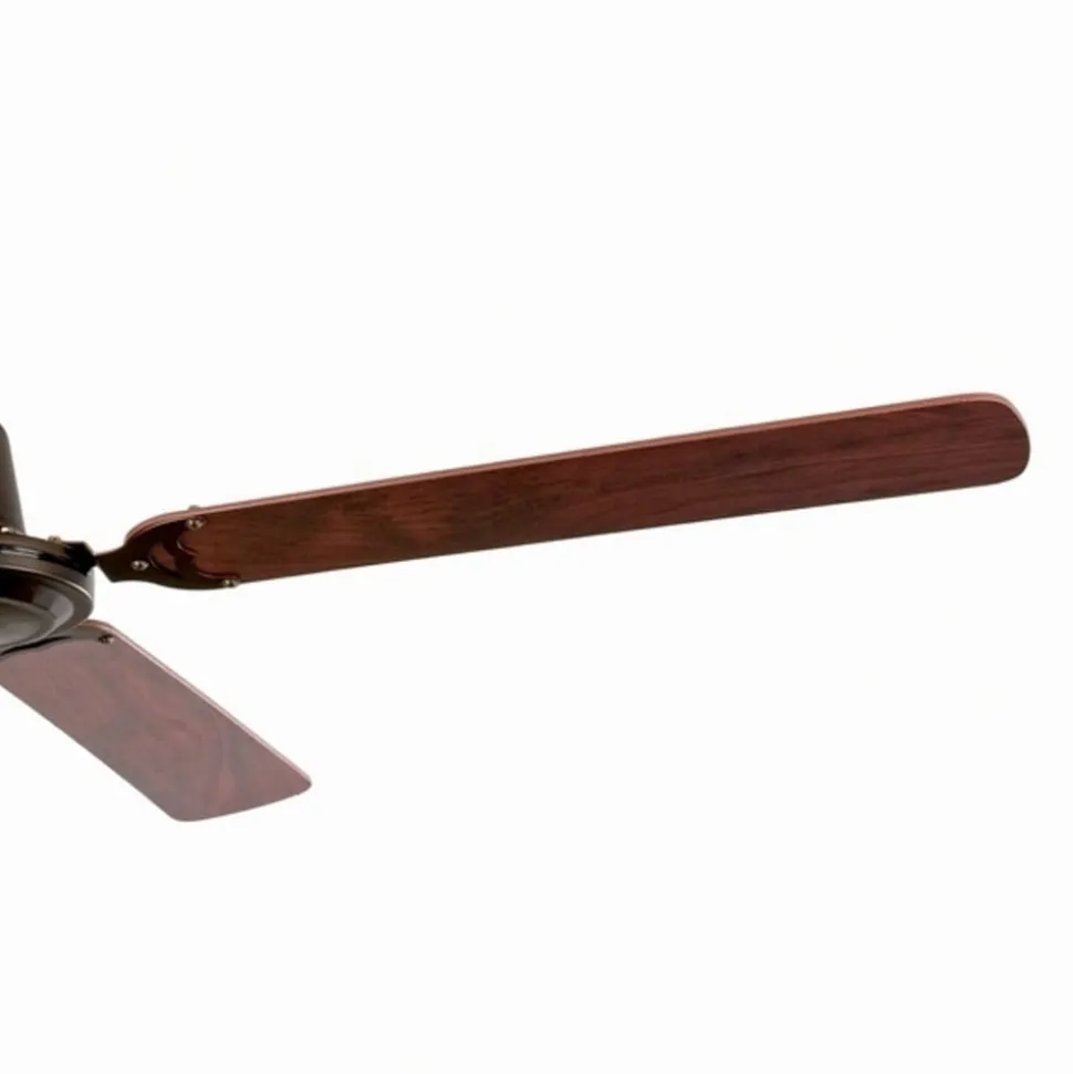 Takvifte Malvinas, brun