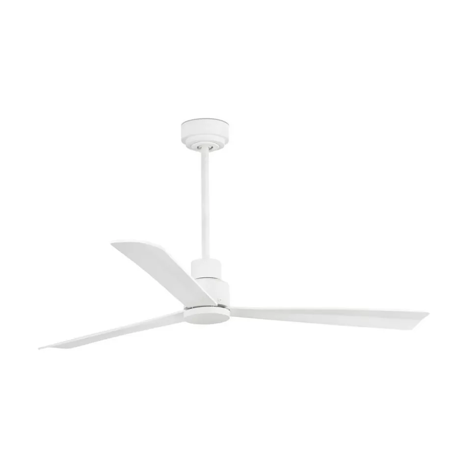 Takvifte Nassau, 3 blad, hvit