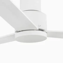 Takvifte Nassau, 3 blad, hvit