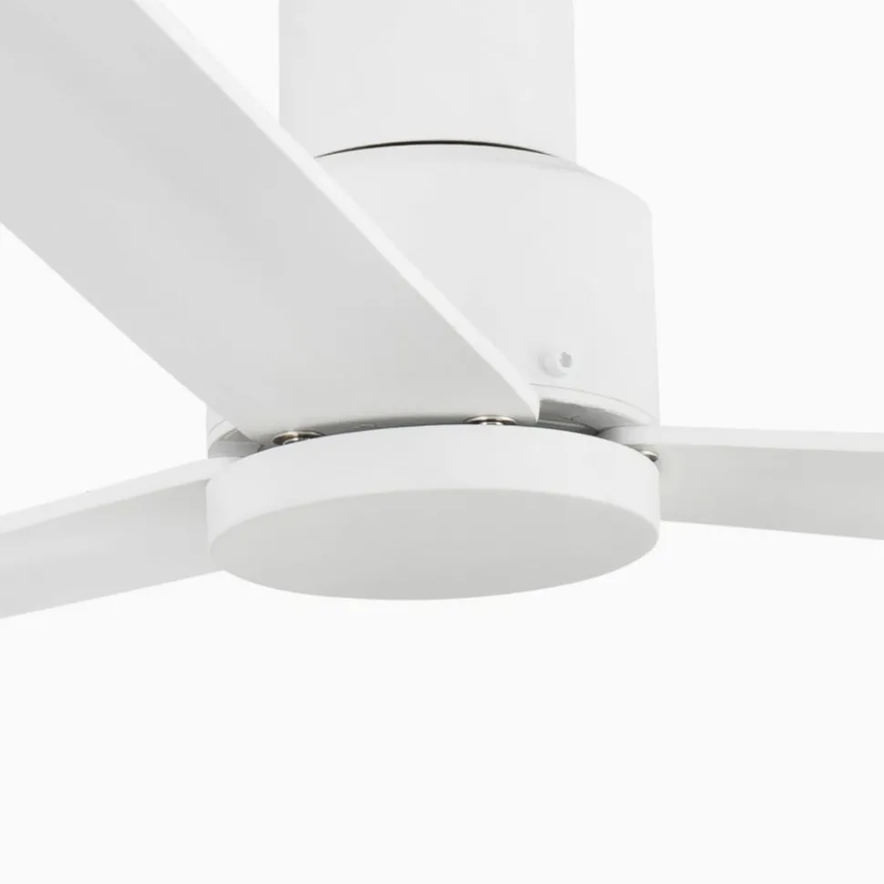 Takvifte Nassau, 3 blad, hvit