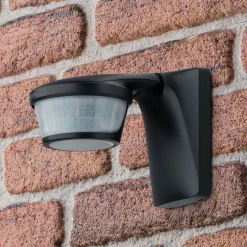 Theben theLuxa P220 PIR-bevegelsessensor svart
