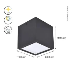 Utendørs LED-taklampe Gemini XS, 4 000 K antrasitt