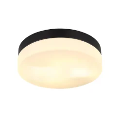 Utendørs taklampe Vranos, matt sort, Ø 24 cm, aluminium