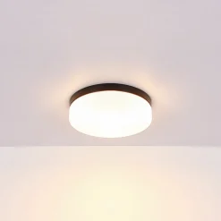 Utendørs taklampe Vranos, matt sort, Ø 24 cm, aluminium