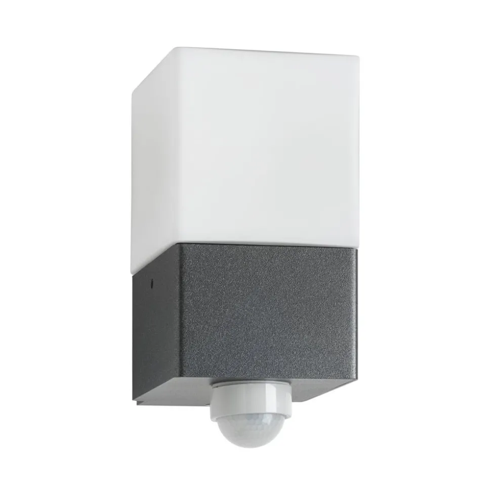 Utendørs vegglampe Linus, grafitt, sensor, stål, glass, E27