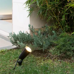 Veggspot og jordspydspot i ett – Toni