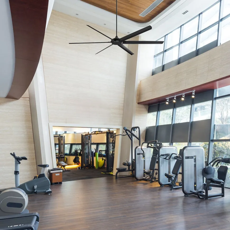 Westinghouse Widespan takvifte, svart