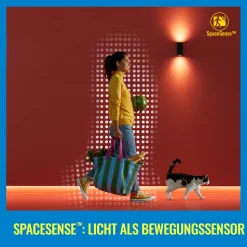 WiZ A60 LED-pære matt WiFi E27 8,5W RGBW sett med 2 stk